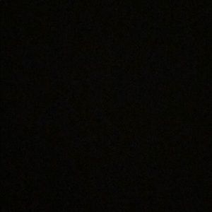 Meet your Posher, Zoey